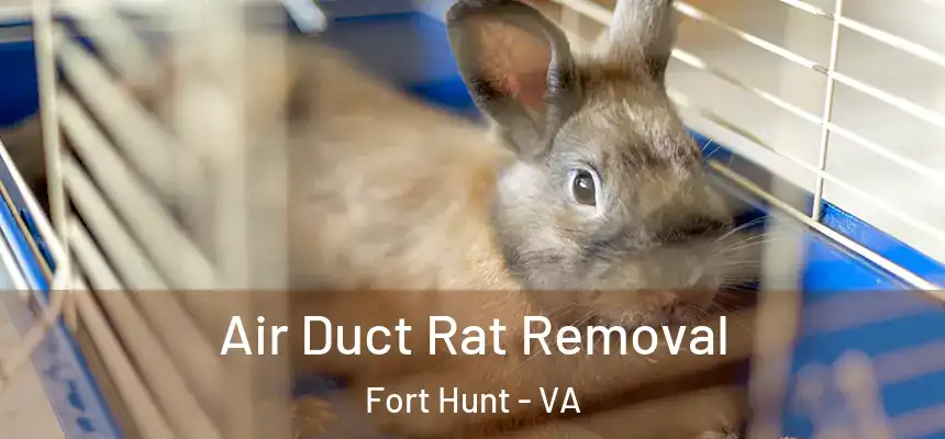  Air Duct Rat Removal Fort Hunt - VA