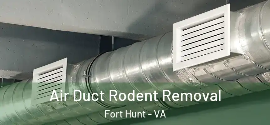  Air Duct Rodent Removal Fort Hunt - VA