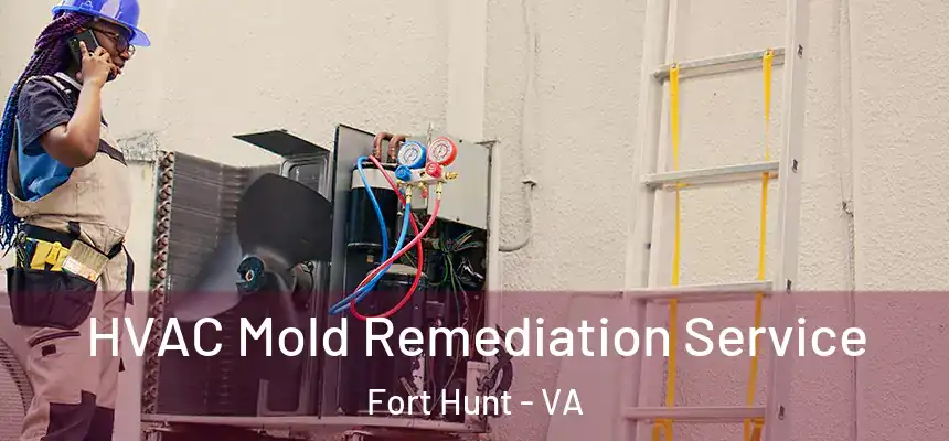 HVAC Mold Remediation Service Fort Hunt - VA