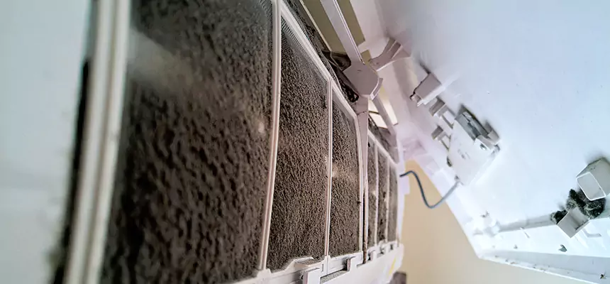 Preventive Air Duct Bacteria Removal in Fort Hunt