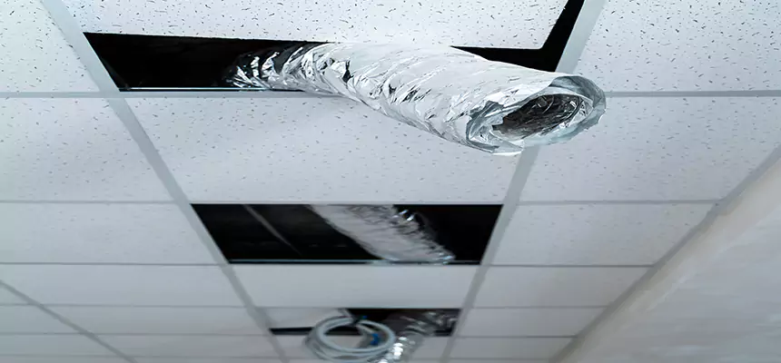 Our Air Duct Pet Hair Removal Services in Fort Hunt, VA