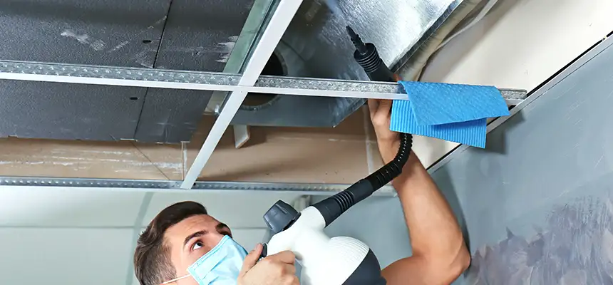 Our Air Duct Rodent Removal Services in Fort Hunt, VA