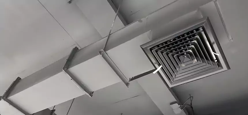 Our Rodent Droppings In Vents Services in Fort Hunt, VA