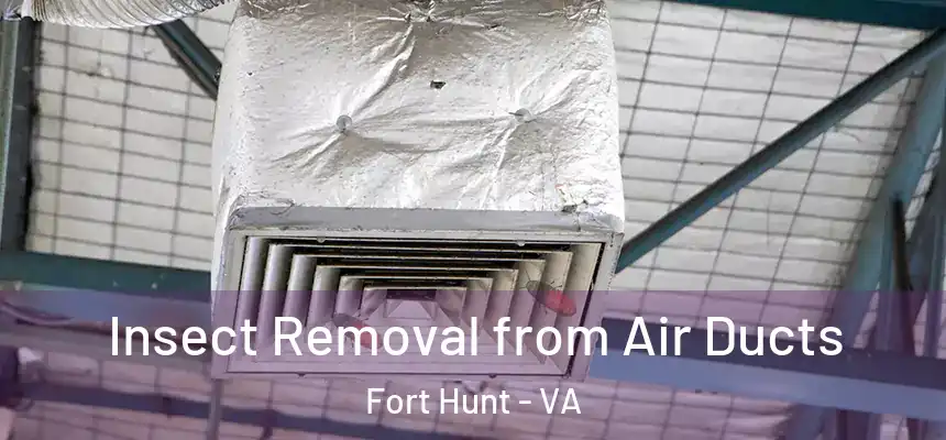  Insect Removal from Air Ducts Fort Hunt - VA