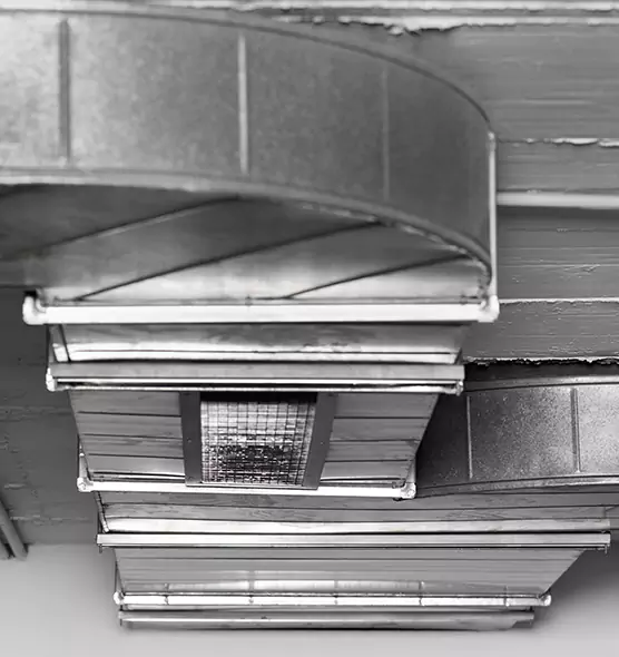 Professional Air Duct Pest Removal in Fort Hunt, VA