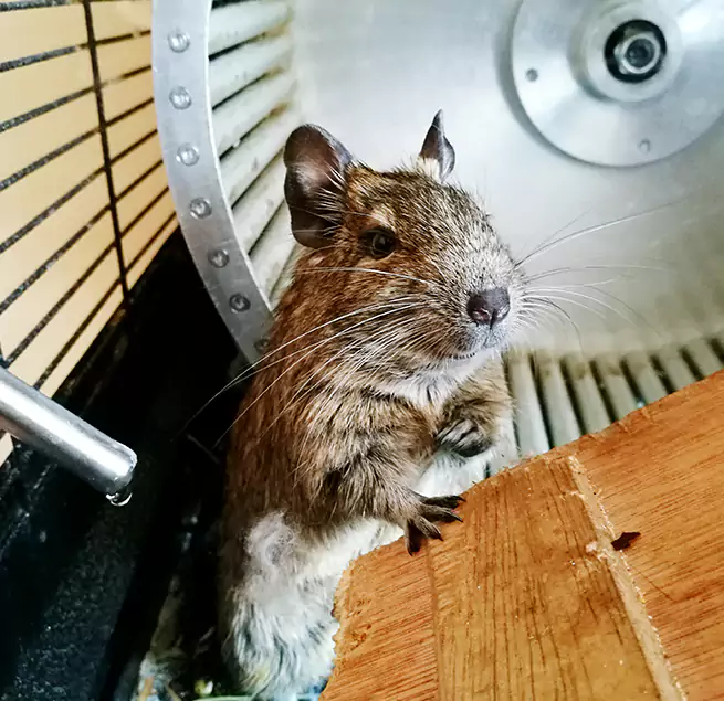 Why Homeowners & Businesses Trust Us Fort Hunt, VA?